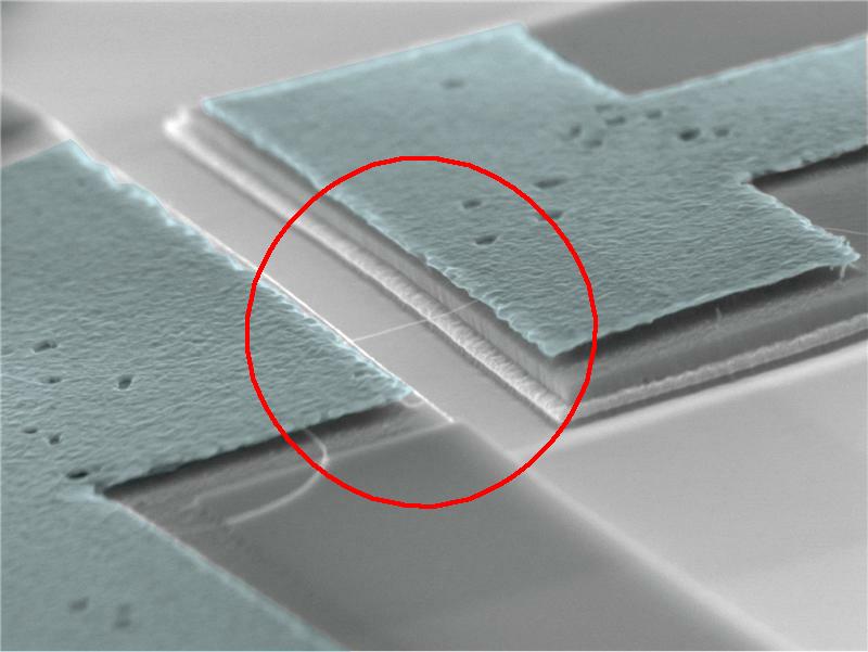 tiny string in this electron microscope image is 800 nanometers tiny string in this electron microscope image is 800 nanometers